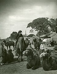 James Ricalton, Peking, China., c. 1901, silver print by Underwood & Underwood, Department of Image Collections, National Gallery of Art Library, Washington, DC James Ricalton, Peking, China by Underwood & Underwood.jpg