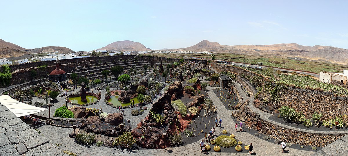 Jardín de cactus