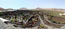 Jardín de cactus pano.jpg