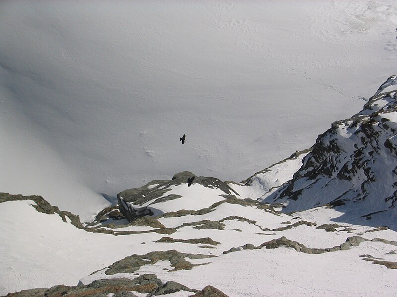 File:Jungfraujoch img 3762.jpg