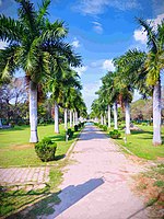 Kaveri park