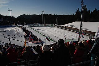 Biathlon World Championships 2011