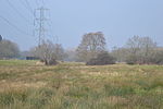 Kingcup Meadows and Oldhouse Wood