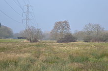 Kingcup Meadows 4.JPG