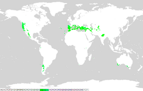 Koppen classification worldmap Cs.png