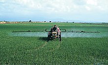 A tractor spraying herbicide onto a field of crops LPCC-733-Aplicacio d'herbicides en arros.jpg