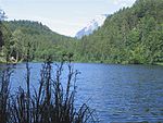 Längsee (Tirol)