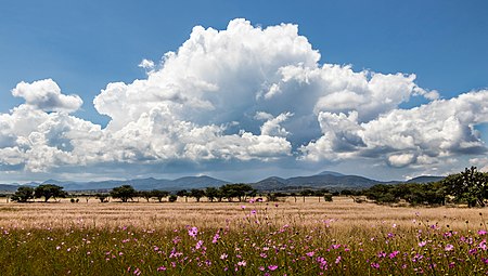 ไฟล์:Large cloud over Mexican landscape.jpg