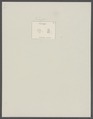 Leucippe ensinadae - - Print - Iconographia Zoologica - Special Collections University of Amsterdam - UBAINV0274 095 12 0015.tif