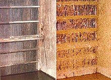 Grate at the raw water intake of a power plant clean (left), and fouled by Limnoperna fortunei (right) Lf fouling.jpg