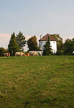 Libhošť2-130824.jpg