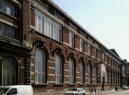 Lille Musée histoire naturelle