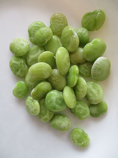 File:Lima beans fresh.jpg - Wikimedia Commons