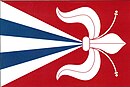 Drapeau de Litichovice