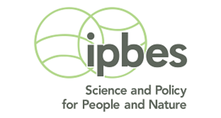 Logo ipbes
