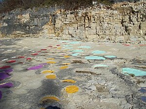 Dinosaur trails LoulleDinosaur1.JPG