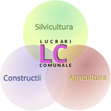 Lucrări Comunale - schema domenii