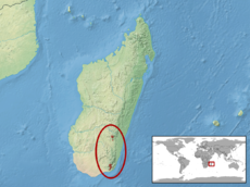 Lygodactylus montanus distribution.png