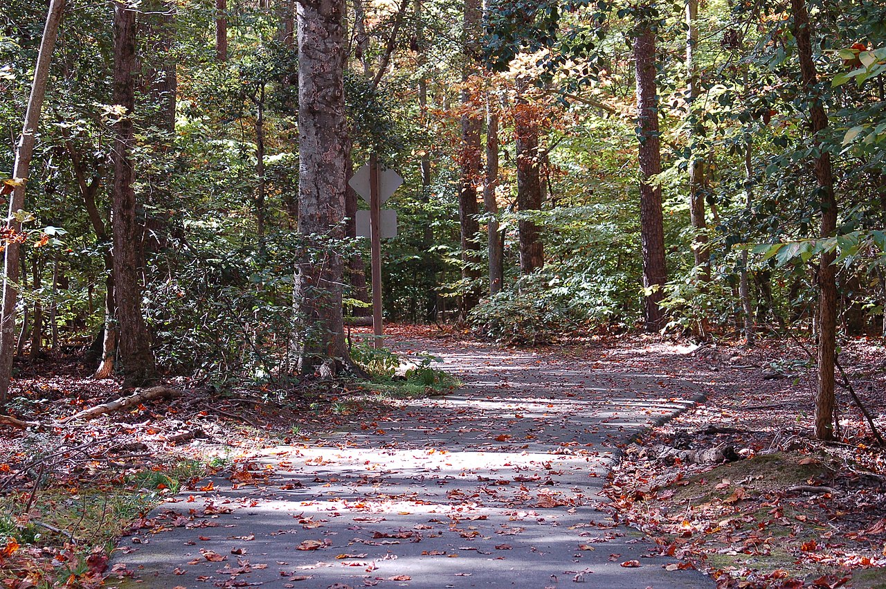 Visit the Mason Neck Peninsula.