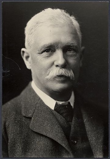 Alfred Brandon (mayor)