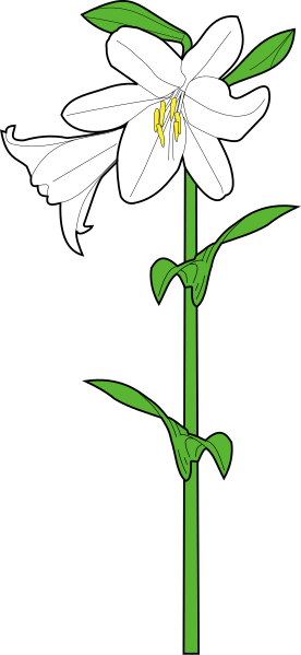 File:Meuble héraldique lys de jardin.svg