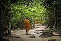 Monks walking in Thailand