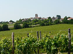 Montagnac-sur-Auvignon village.JPG