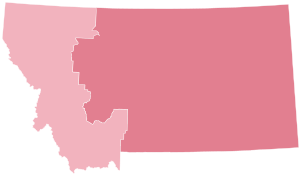 Montana 2022 Congressional Results Party Performance.svg