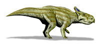 Montanoceratops BW.jpg