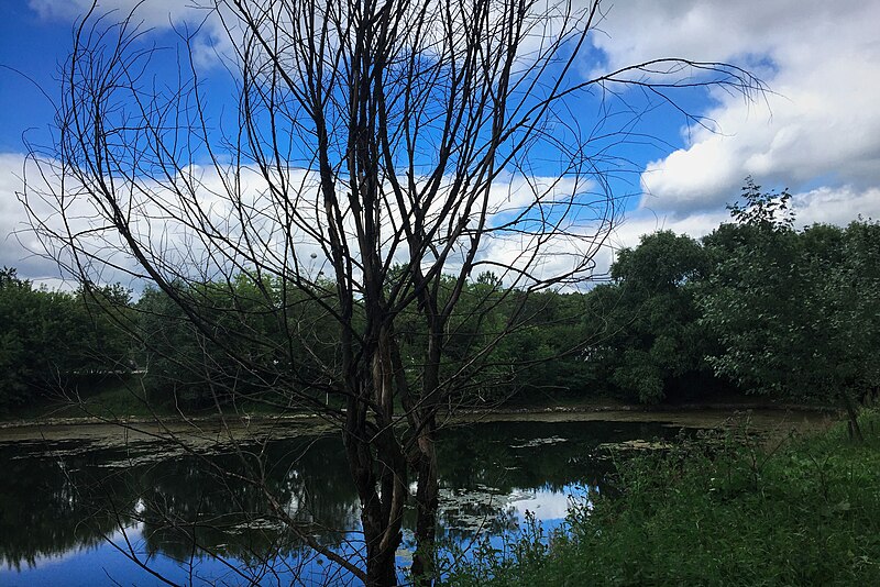 File:Moscow, Putyaevsky Ponds in Sokolniki Park (30716419073).jpg