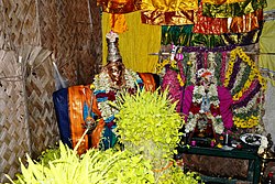 Mulaipari Mariyamman Festival Madurai 2014.jpg
