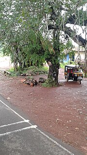 Muliyar Town in Kerala, India