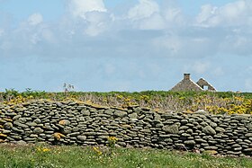 Mur et ruine de ferme sur l'île de Trielen