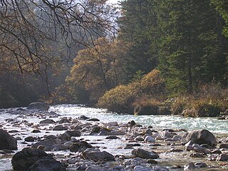 Triglav Bistrica River in Slovenia