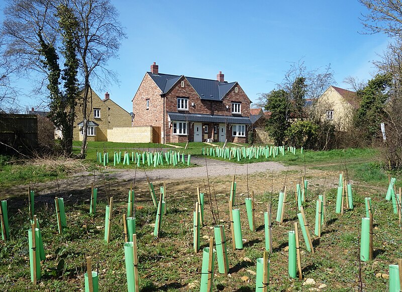 File:New Houses, New Trees - geograph.org.uk - 5728374.jpg