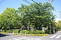 Nishishiota Park 20190511-02.jpg