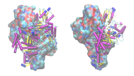 Illustrasjonsbilde av artikkelen Alpha-Ketoglutarate dehydrogenase