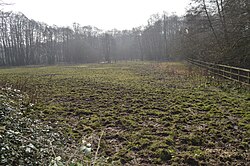 Old Rectory Meadows