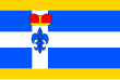 Vlag