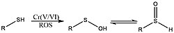 Oxidation of a cysteine residue to sulfenic acid Oxidation of a Cys residue to sulfenic acid by chromium species.jpg