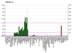 PBB GE GPM6B 209169 at fs.png