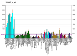 PBB GE HNRPDL 209067 s at fs.png