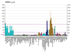 PBB GE SH3GLB1 209091 с at fs.png