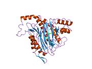 PDB 1yw7 EBI.jpg