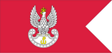 ไฟล์:PL territorial defence force flag IIIRP.svg