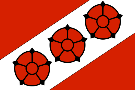 File:POL Brzeg Dolny Flag.svg