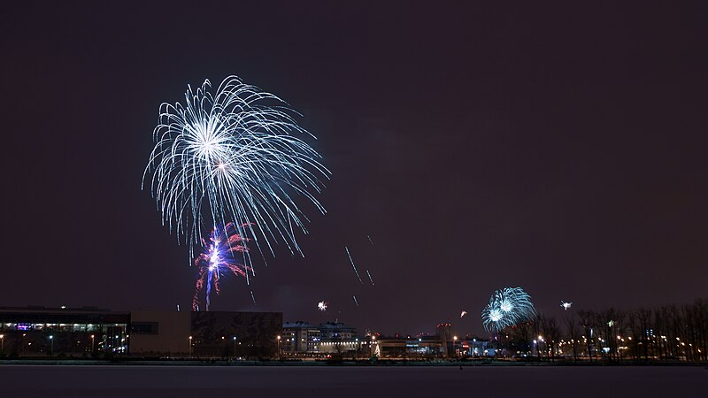 File:POL Poznań - New Year 2010 Fireworks (1).JPG