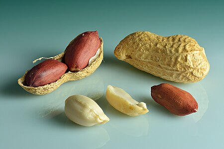 Peanuts (Arachis hypogaea) - in shell, shell cracked open, shelled, peeled