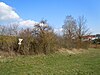 Plant location Krummert - Ob dem Haldengraben.jpg
