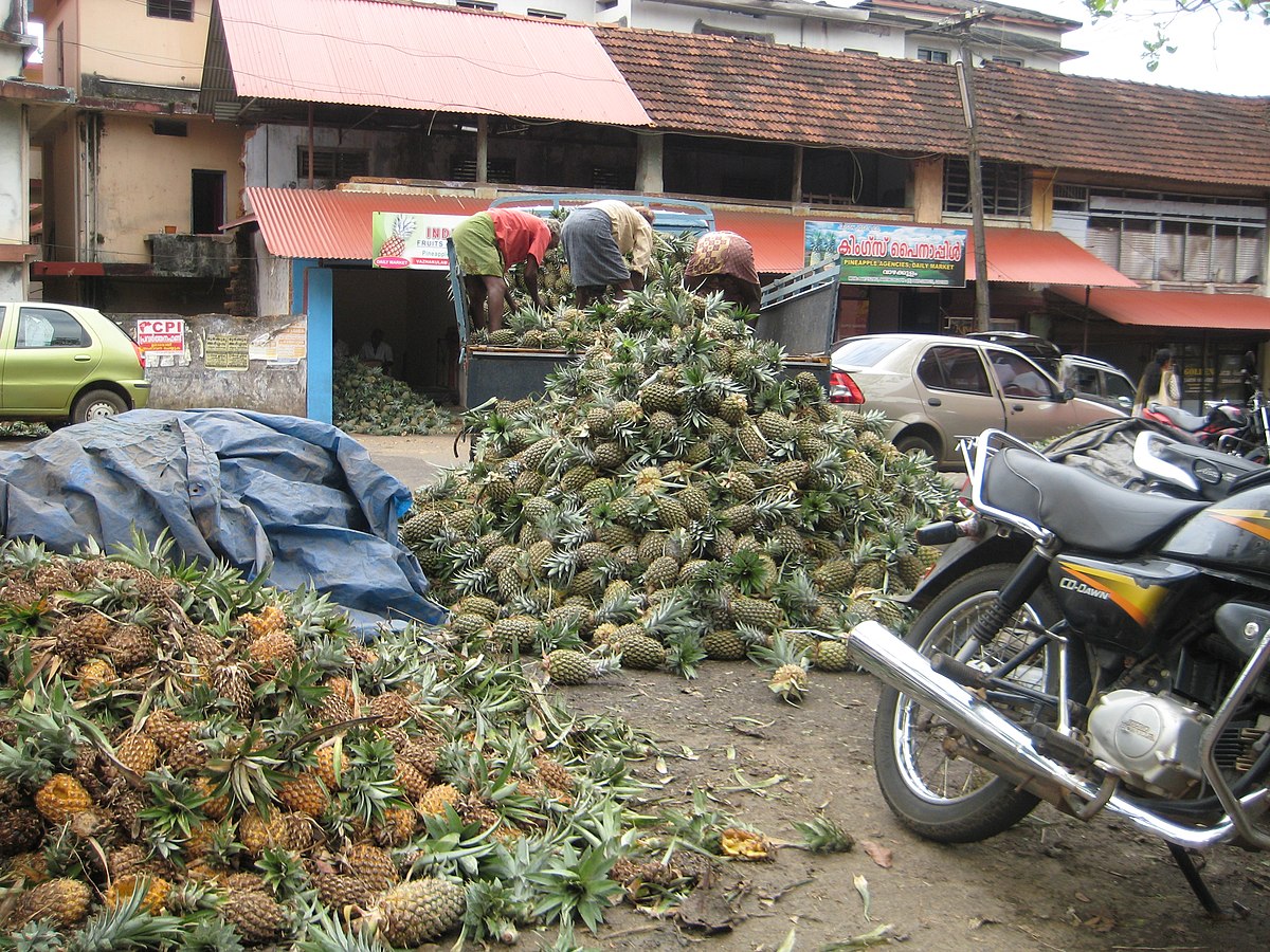 Vazhakulam pineapple market rate